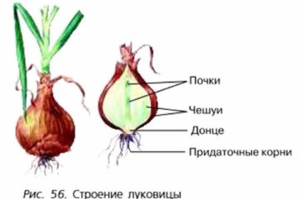 Как заказать на кракене